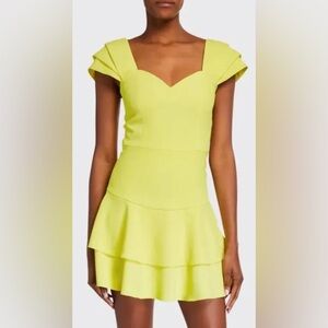 Alice and Olivia Brinda double ruffle mini dress